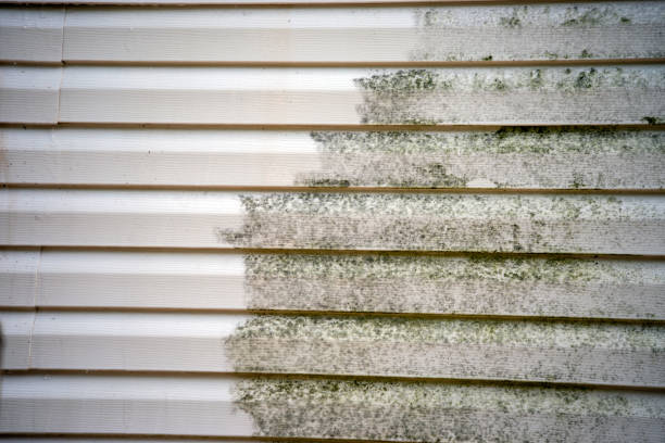 Best Storm Damage Siding Repair  in Seaman, OH