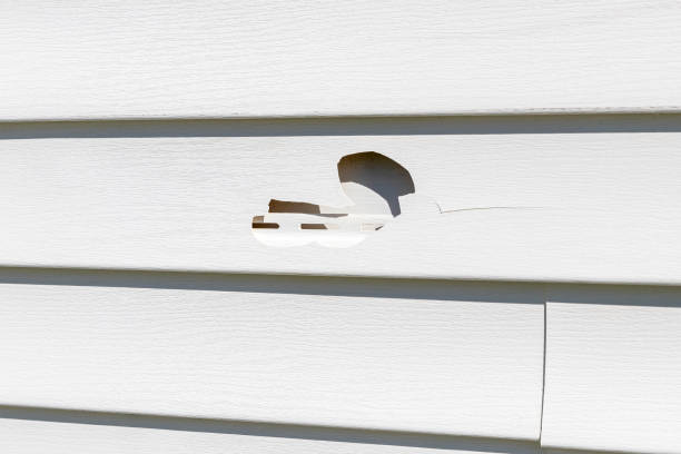 Best Wood Siding Installation  in Seaman, OH