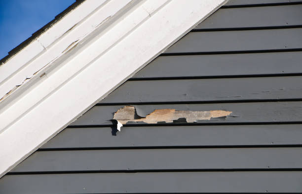 Best Residential Vinyl Siding Installation  in Seaman, OH