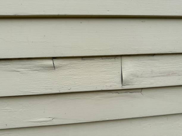Affordable siding repair and maintenance services in Seaman, OH